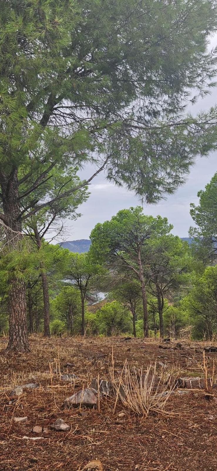 Alojamiento El Camarin Baños de la Encina Exteriér fotografie